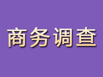 同江商务调查